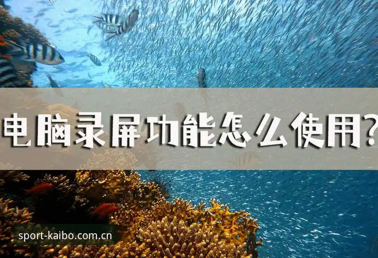 kaibo体育平台功能解锁使用教程：从安装到对比分析的完整操作指南